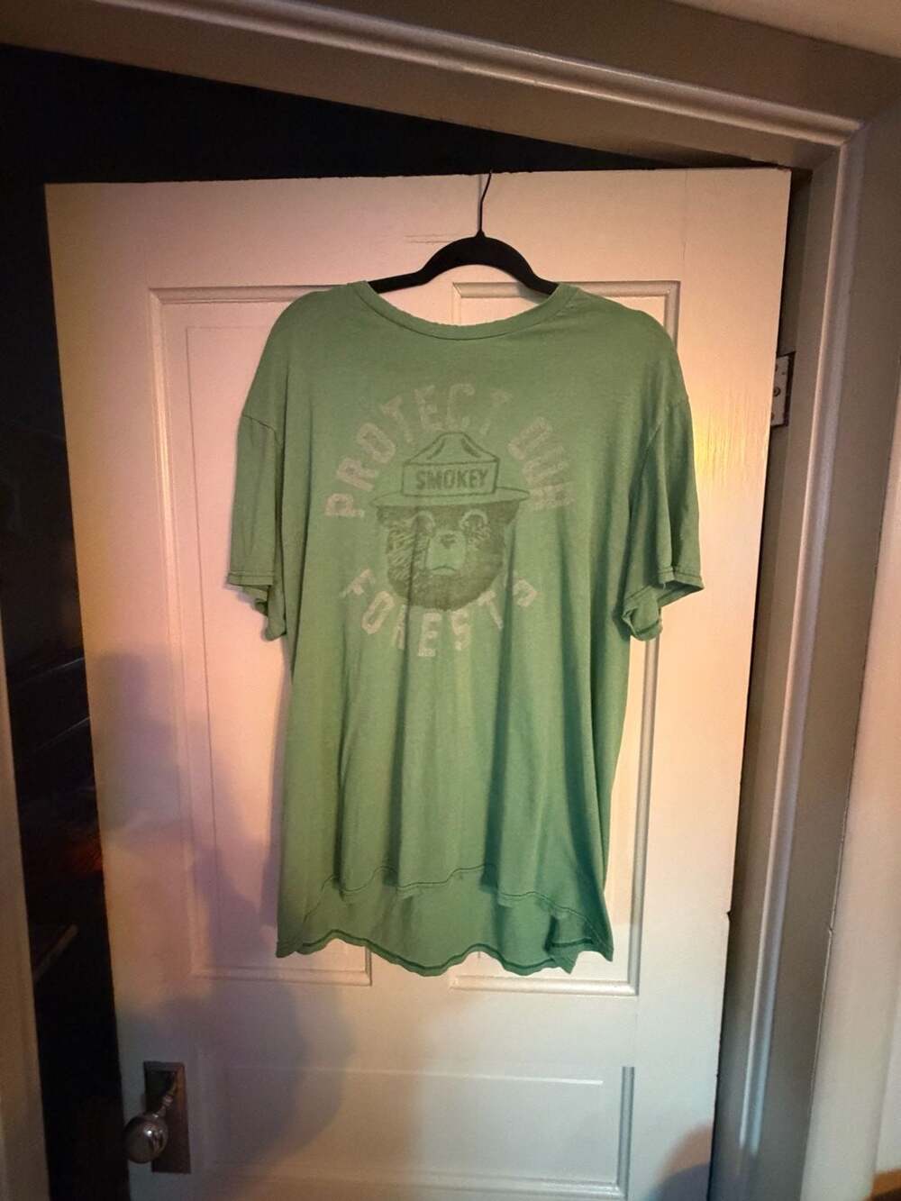 Smokey Bear Protect Our Forests Green Graphic T-Shirt